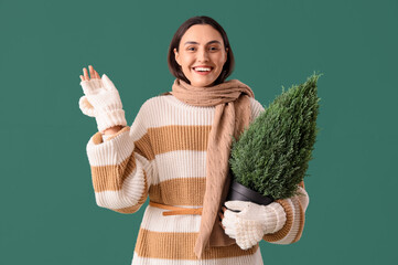 Wall Mural - Young pretty woman with Christmas tree in pot on green background