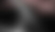© Sami - Elegant brown gray dark colors grainy gradient backdrop design, black, bright, shiny, rough, noisy multicolor gradient web banner, website header, poster.