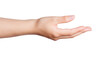 © Vector Nazmul - Hand holding an invisible object, isolated on transparent white background, clipping path