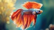 © Boonnam Burart - A striking image of a Betta fish in motion, its flowing fins creating waves of color in the water, symbolizing both beauty and power.