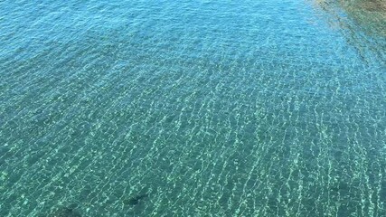 Wall Mural - Sea blue flowing calm water surface.