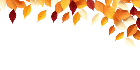 Wall Mural - png autumn leaves border backgrounds pattern flower.