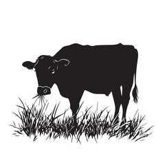 Black silhouette of domestic cow grass eating on a white background vector illustration