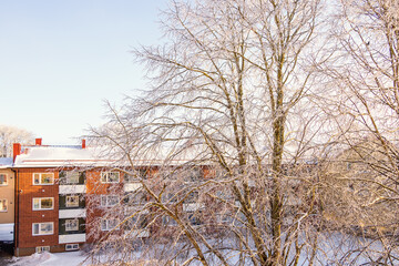 Poster - Apartment house with frost trees a cold winter day