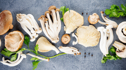 Sticker - assortment of various mushrooms, top view