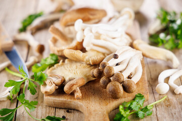 Canvas Print - assortment of various mushrooms, chanterelle,shiitake...