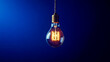 © edojob - Light bulb shining brightly with filament glowing on blue background