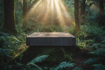Wall Mural - a wooden platform in a mossy forest with sun beams shining through the trees.