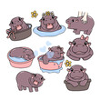 © Natsicha - cute baby pygmy hippo bouncy pig cartoon character collection