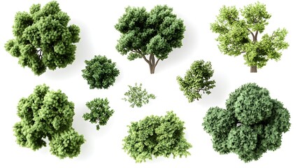 Aerial View of Lush Green Trees for Landscape Design and Architecture