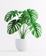 A vibrant green monstera tree in a decorative pot, showcasing lush leaves and bringing a touch of tropical nature indoors