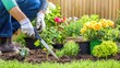 © pinporn manosri - Gardener cutting a rose stem with pruning shears, tending to plants in a lush garden