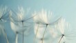 © Phattarasaya - Delicate dandelion seeds drifting through the wind, seed head in focus against a bright sky, no people visible.
