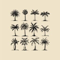 Set of palm tree engraved vintage design