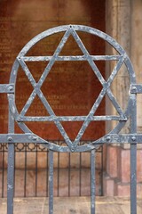 Wall Mural - Star of David in Budapest