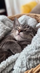 Wall Mural - A cozy cat sleeping peacefully in a soft blanket.