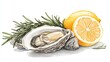 © Антон Сальников - Hand drawn watercolor illustration of oysters, seafood, and lemons. Opened oyster shell on white background