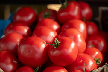 Fresh red tomatoes stacked at a local farmers market in the afternoon sunlight