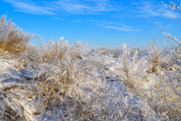 Beautiful dry grass covered with snow in the hoarfrost