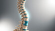 © Abdul - 3d rendered illustration of a spine