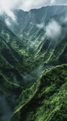 Wall Mural - Aerial top down view of High Mountain landscape mountain vegetation.