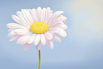 Wall Mural - Painting of daisy blossom flower petal.