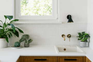 Modern kitchen interior with white sink and potted plants on counter