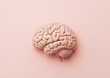© Sabineyro - Human brain on pink background, side view