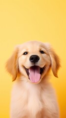 Canvas Print - Happy golden retriever puppy mammal animal.