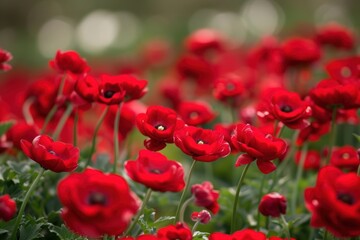 Wall Mural - Red flowery wallpaper background outdoors blossom nature.