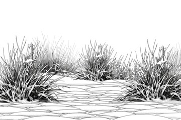 Wall Mural - Coloring book illustration of a frosty lawn on a winter morning