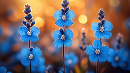 Wall Mural - Blue Flowers in a Field of Golden Light