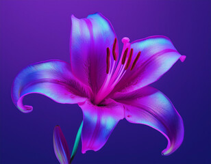 Wall Mural - Purple Lily Flower Closeup Illustration