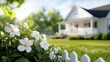 © Vangly - White flowers bloom in front of a white picket fence with a house in the background.