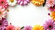 © Vitaliy - Flat lay frame of multicolored gerbera flowers on white background with copy space