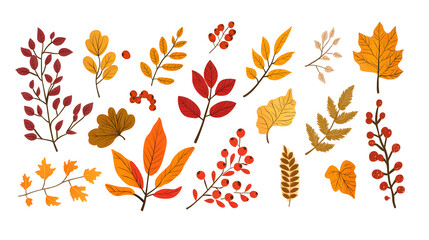 Sticker - Autumn leaves hand drawn collection isolated on white