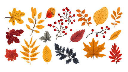 autumn leaves hand drawn collection isolated on white