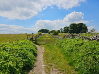 Gated path