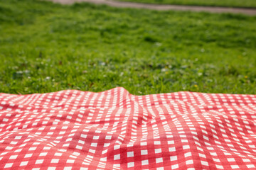 Sticker - Checkered picnic tablecloth on green grass, closeup. Space for text