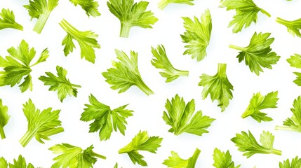 Sticker - Seamless pattern of chopped fresh green celery leaves on a crisp white background, featuring vibrant green hues and intricate leaf details for a fresh and natural look 