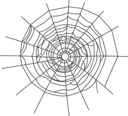 Wall Mural - decorative cobweb. gothic insect net black element