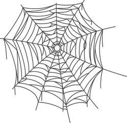 Wall Mural - creepy spider web element. black line net