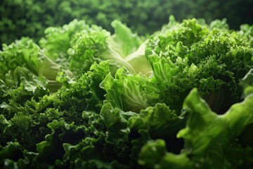 Poster - A detailed view of crisp lettuce leaves