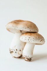 Poster - A pair of fungi sit atop one another, highlighting their unique shape and texture