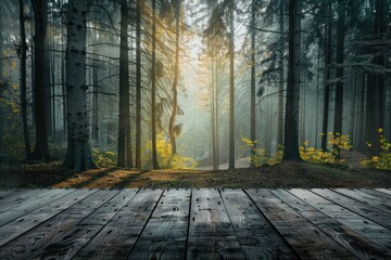 Wall Mural - Empty forest stage architecture landscape sunlight.