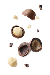 Wall Mural - Macadamia nuts and crushed shells in air on white background