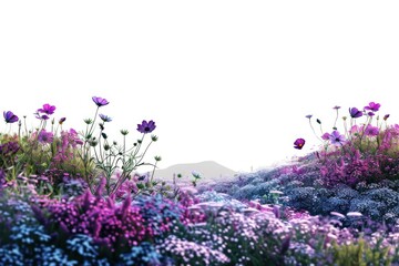 Wall Mural - Vibrant meadow of blooming flowers