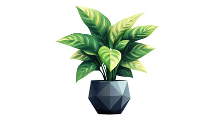 Wall Mural - Dieffenbachia or dumbcane in pot. plant isolated on white background. PNG file with transparent background