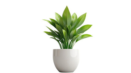 Wall Mural - Brown earthen flower pot with green plant isolated on PNG file with transparent background