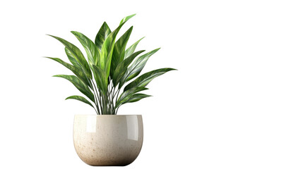 Wall Mural - Brown earthen flower pot with green plant isolated on white background. PNG file with transparent background